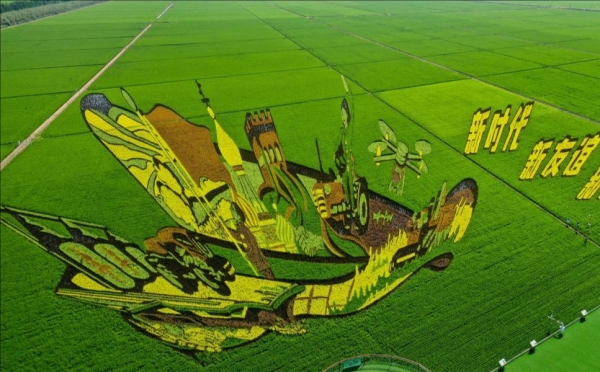 1 1